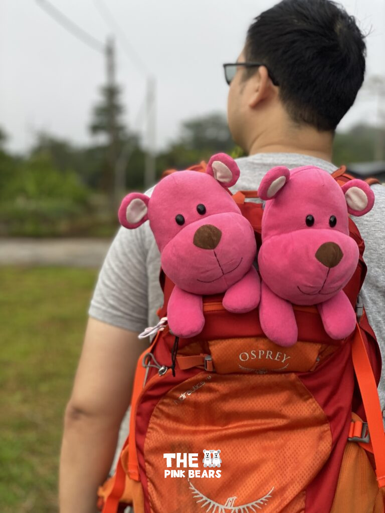 the two pink bears in the bag