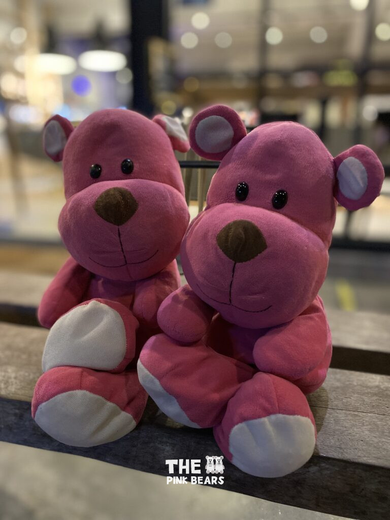 the two pink bears portrait shot