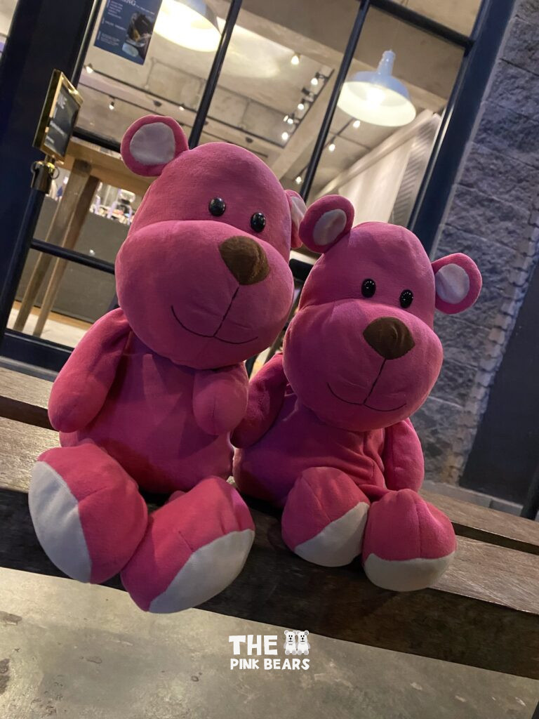 the two pink bears shot